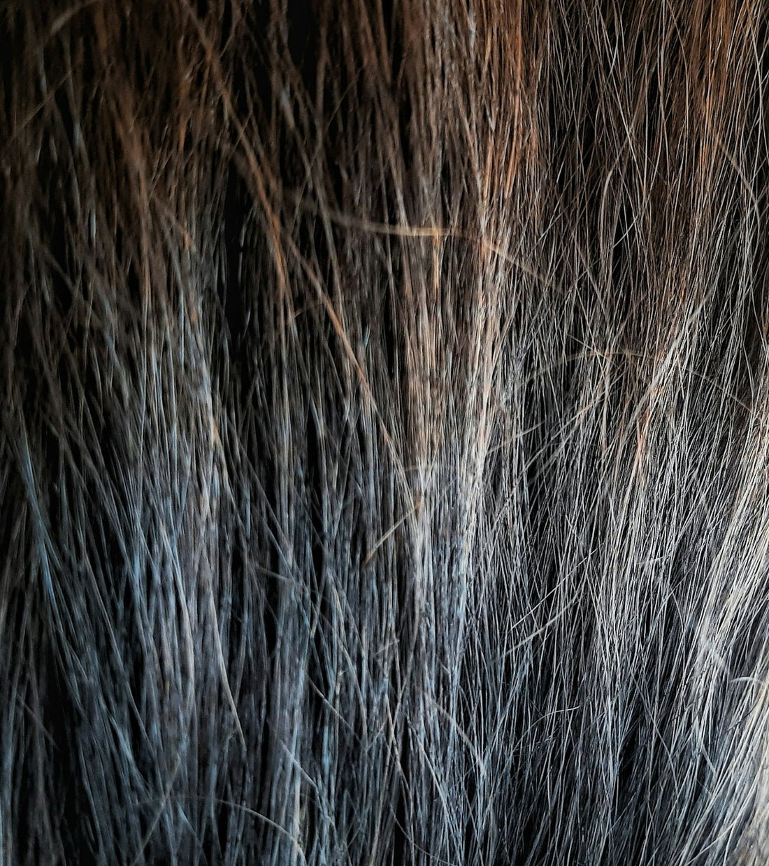 How to Master the Art of IPL Laser Hair Removal at Home - MomDaughts UAE